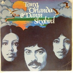 Пластинка Tony Orlando & Dawn Skybird